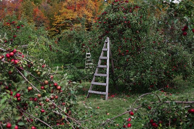 seasonal-notes-september-9-eric-dupuis-quebec