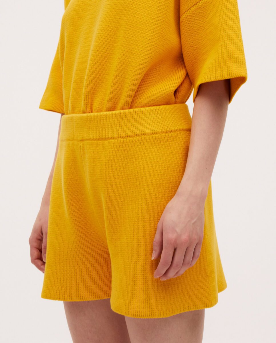 shorts-no35-alphonso-mango